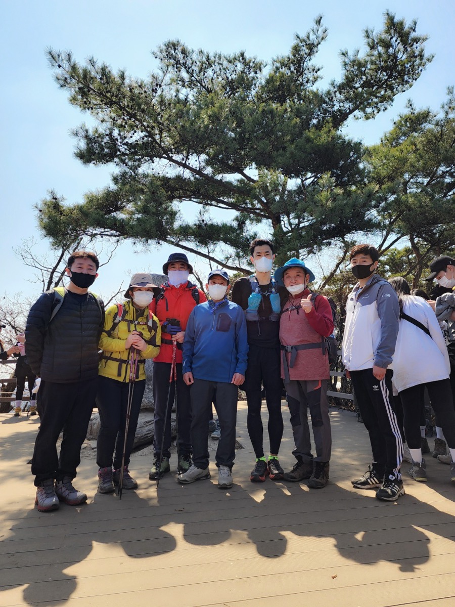 소나무 아래